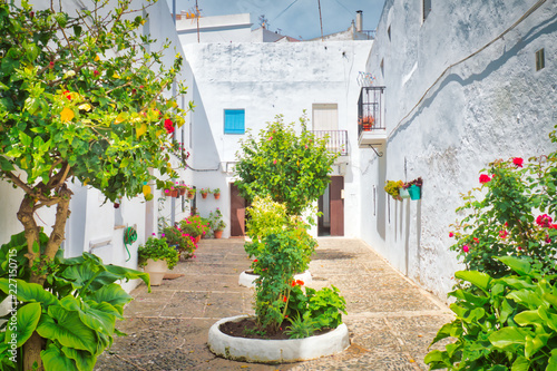 Beautiful street decorated with plants in Vejer de la Frontera, a tourist town in the province of Cadiz, Spain