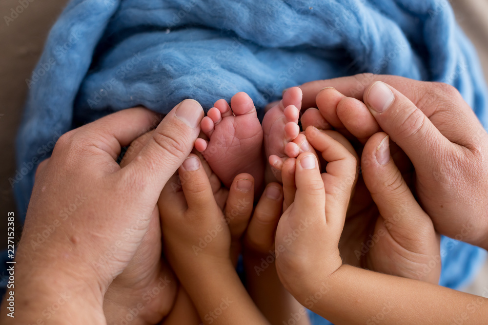 newborn legs in the hands of mom and dad. legs in hands on a blue background. baby's feet in the hands of parents newborn legs in the hands of mom and dad. legs in hands on a blue background. baby's feet in the hands of parents