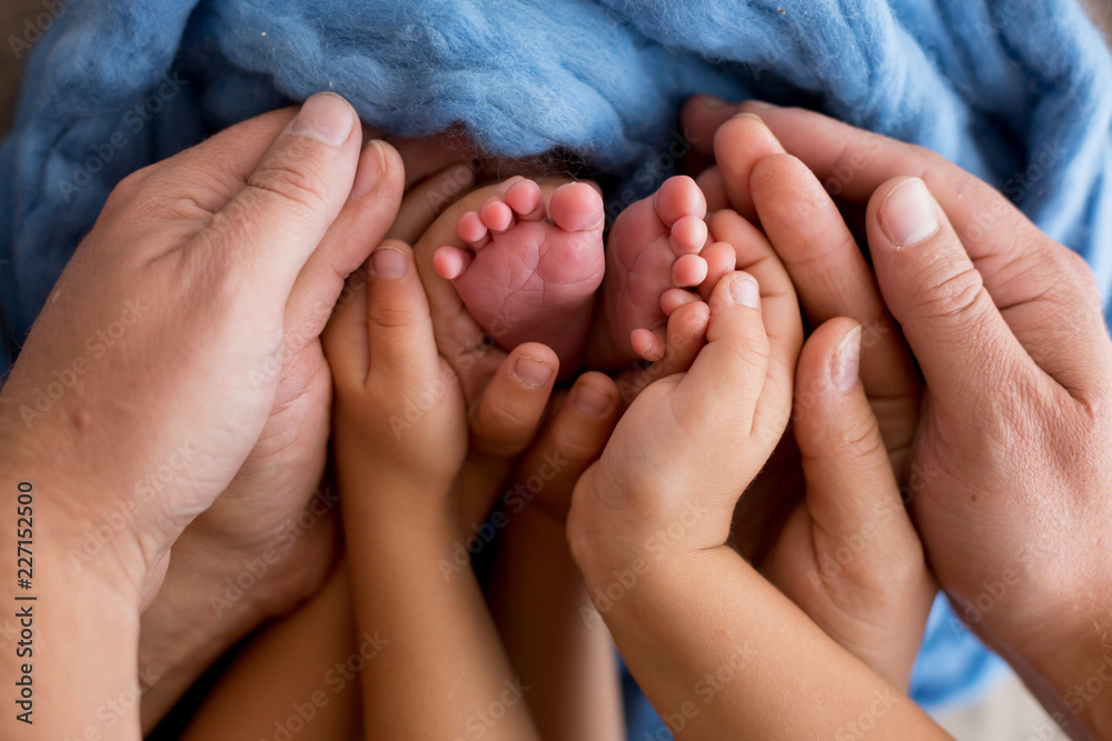 newborn legs in the hands of mom, dad and . legs in hands on a blue background. baby's feet in the hands of parents newborn legs in the hands of mom, dad and . legs in hands on a blue background. baby's feet in the hands of parents