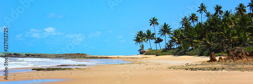 Panoramic view of Coqueirinho Beach  palm trees  sand  rocks  sea and blue sky