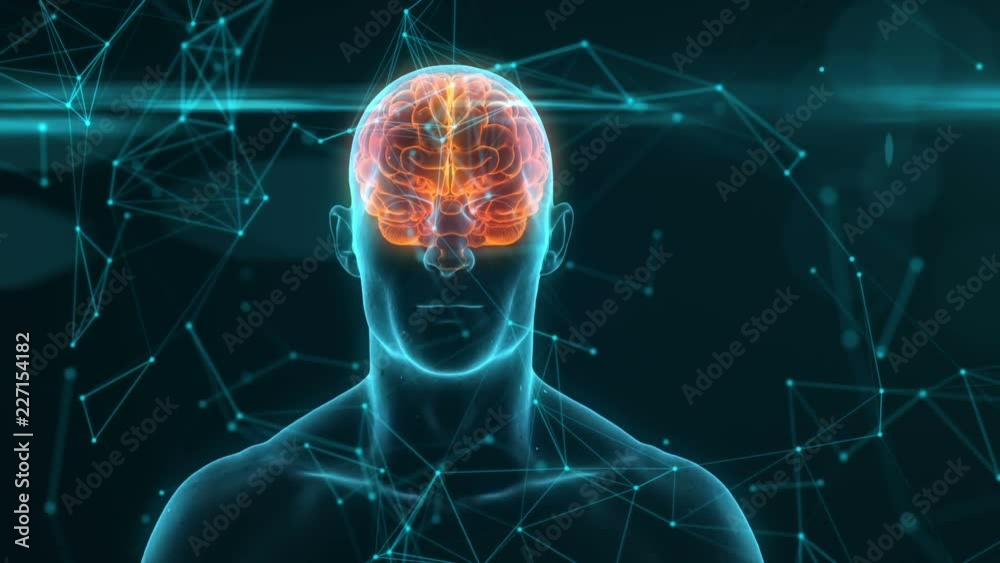 Neuronal Activity. 3d animation of rotating blue conceptual human brain. Seamless loop