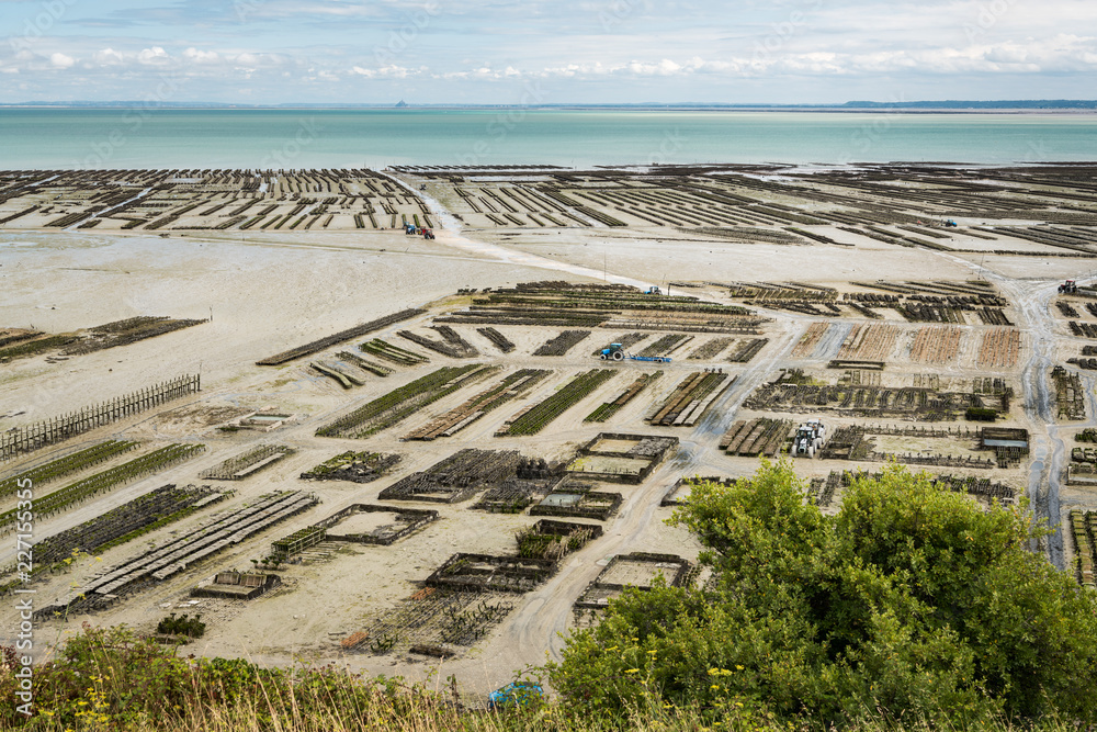 Oyster farm in Cancale on a sunny day in summer