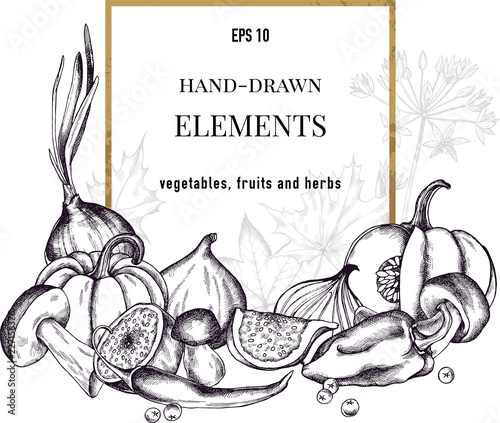 Vector collection of hand drawn autumn vegetables
