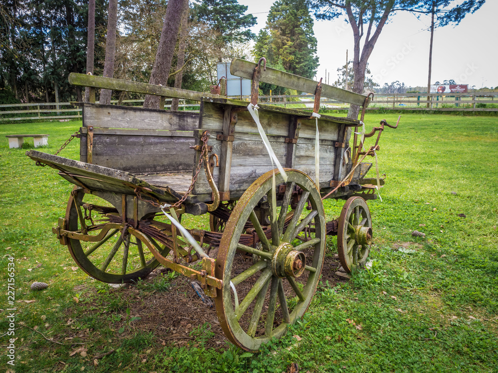 A very old carriage parked at garden