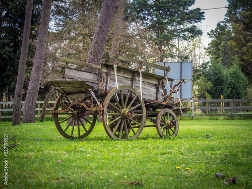 A very old carriage parked at garden