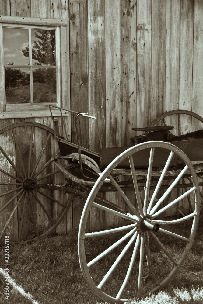Fototapeta premium Vintage Horse Buggy Wagon