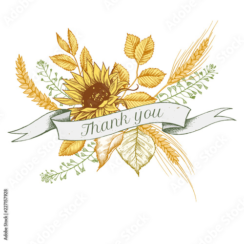 Ribbon design of sunflower and rye with thank you sing. Hand drawn vector illustration