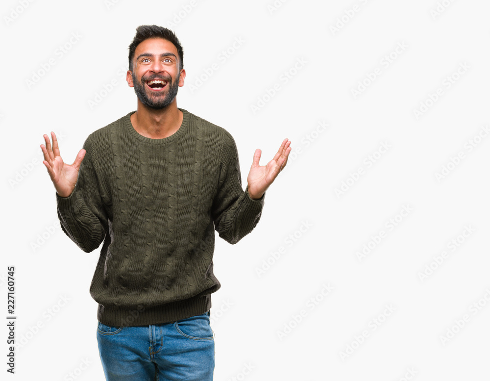 Adult hispanic man wearing winter sweater over isolated background celebrating crazy and amazed for success with arms raised and open eyes screaming excited. Winner concept Adult hispanic man wearing winter sweater over isolated background celebrating crazy and amazed for success with arms raised and open eyes screaming excited. Winner concept