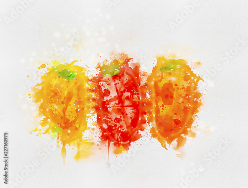 Minipaprike, rot, orange, gelb / freigestellt auf Weiss