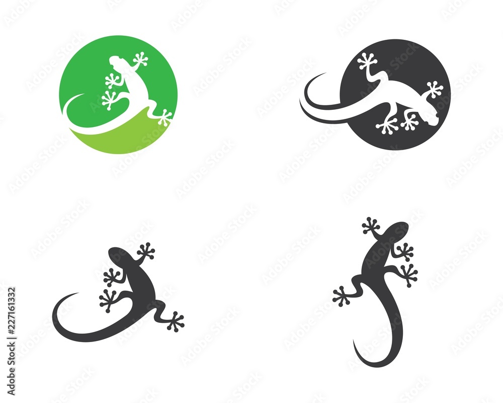 Fototapeta premium Lizard vector illustration