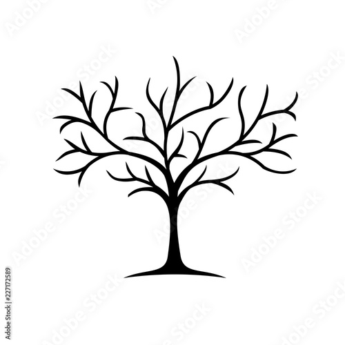 Silhouette tree without leaves vector 
