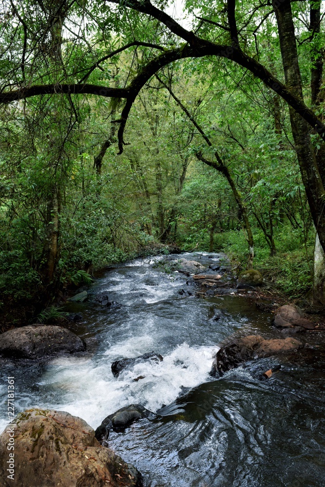 cascada velo de novia