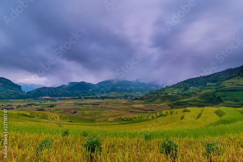 Mu Cang Chai terraces rice field in harvest season