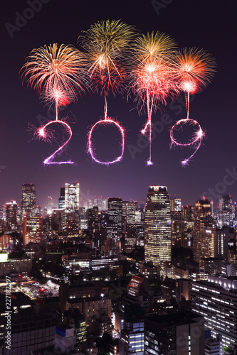 2019 Happy new year firework Sparkle with Tokyo at night, Japan © geargodz