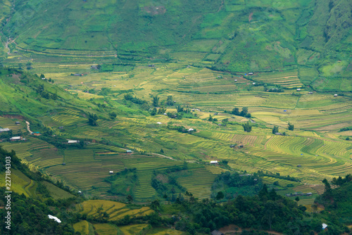 Mu Cang Chai terraces rice fields in harvest season