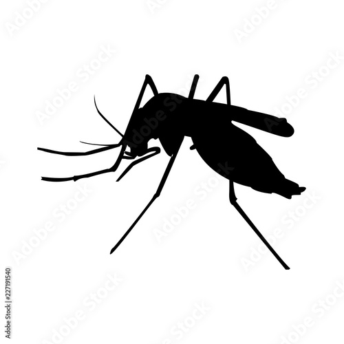 mosquito logo icon design template vector
