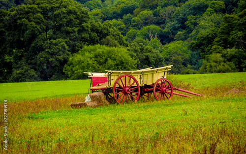 Old Carriage on a field