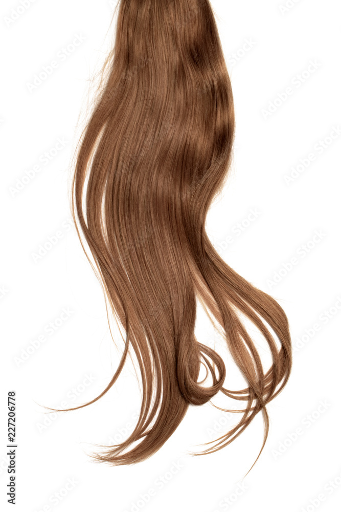 Brown (dark) hair isolated on white background. Long disheveled ponytail
