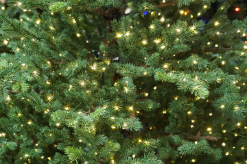 Close up on Christmas tree with light