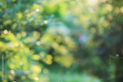 Bokeh of Tree Leaves for nature background and save green concept,soft and blur out of focus, made with gradient and filter colored.