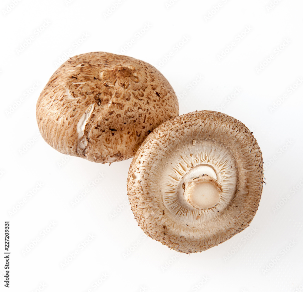Fresh Shiitake mushrooms on white background Fresh Shiitake mushrooms on white background