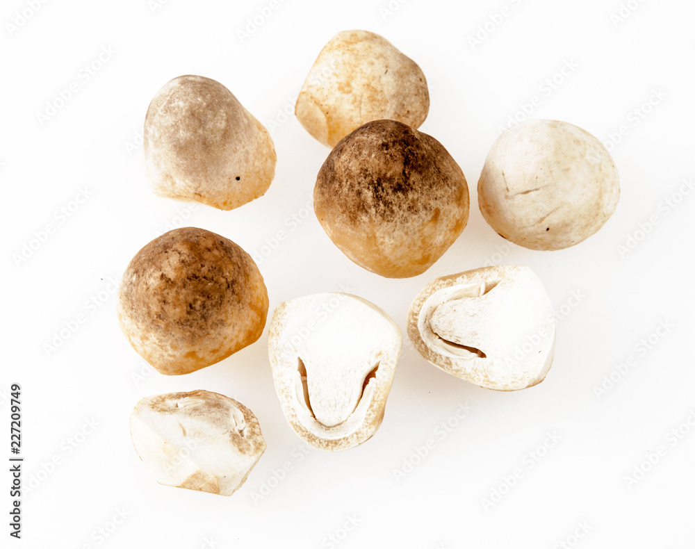 straw mushroom on white background, organic mushrooms straw mushroom on white background, organic mushrooms