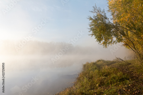 Morning autumn scenery on the bank of the river, wrapped in fog, through which the rays of the sun make their way.