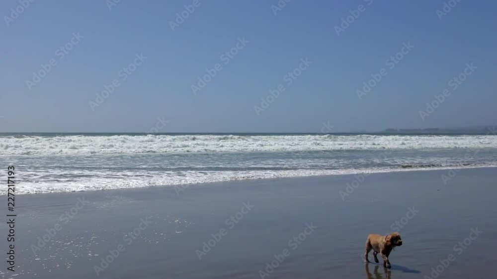 The Pacific Ocean at Rio del Mar, Santa Cruz County, California, USA, 2018