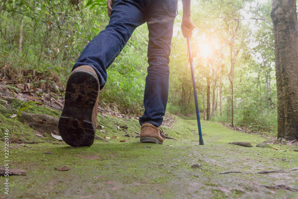 Close-up of man hikers shoes. A man walks along a path in the woods, Walk in the forest to climb the mountain. Close-up of man hikers shoes. A man walks along a path in the woods, Walk in the forest to climb the mountain.