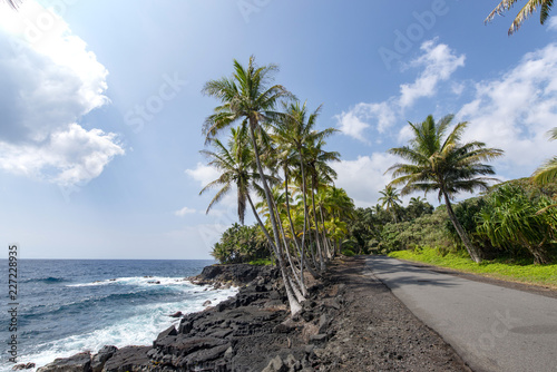 Government Beach Road,Pahoa,Big Island Hawaii