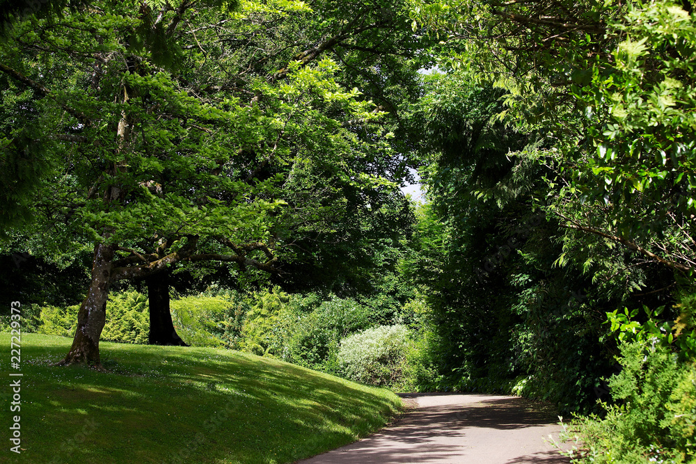 Fototapeta premium Park w Dublinie w Irlandii