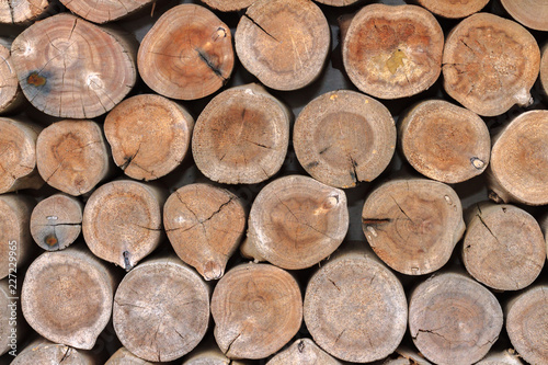 Seamless old wooden pattern background. Close-up group of cutting dry wood logs textured with soft lighting and selective focus