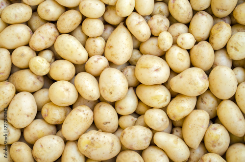 young potatoes in bulk in a box