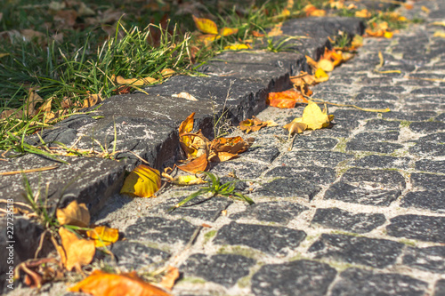 Картината върху платно Autumn leaf fall