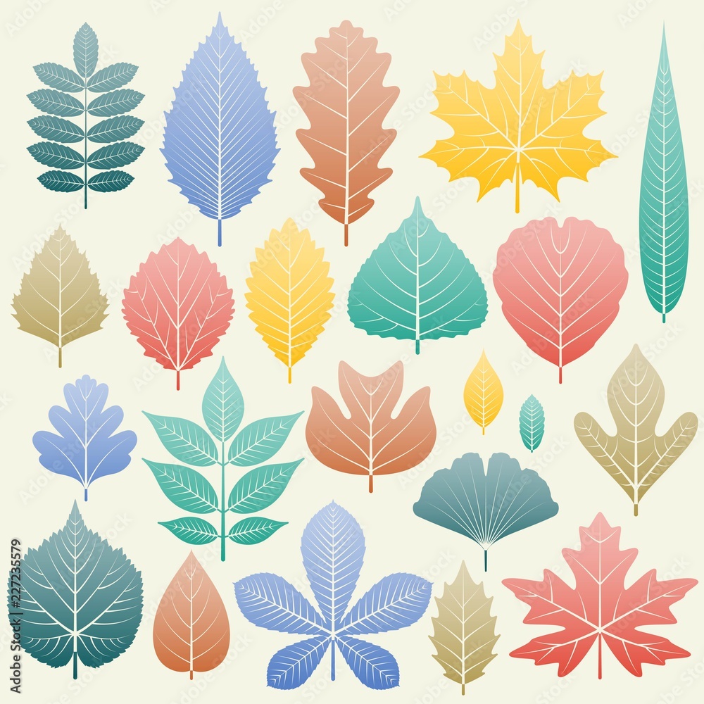 Obraz premium Gradation fall leaves set. Autumn forest or gaarden template. Vector illustration.