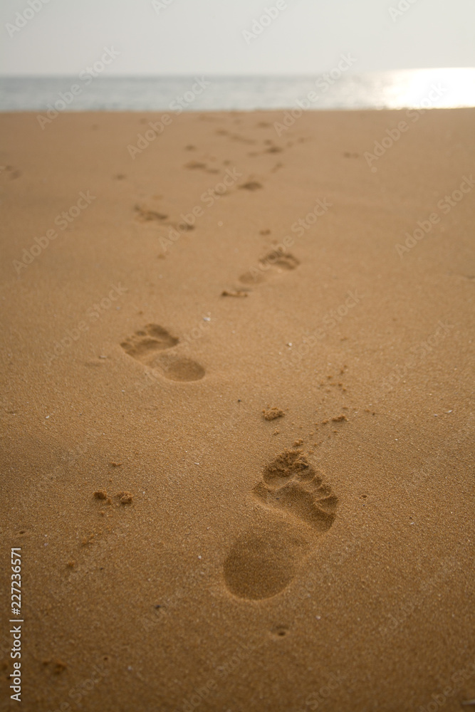 Footprints of one persons path in wet golden sand at sunset Footprints of one persons path in wet golden sand at sunset