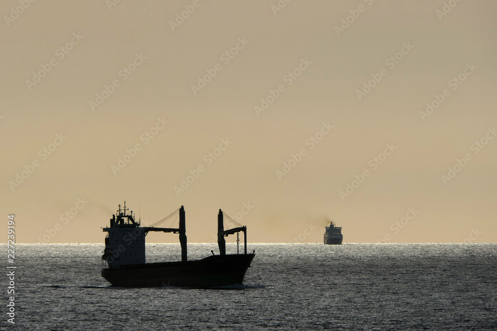 Ships on the way in the evening. A cargo ship and container ship travel on the high seas. The sky is cloudless and the sea is sparkling. The smoke from the chimneys rises into the sky.