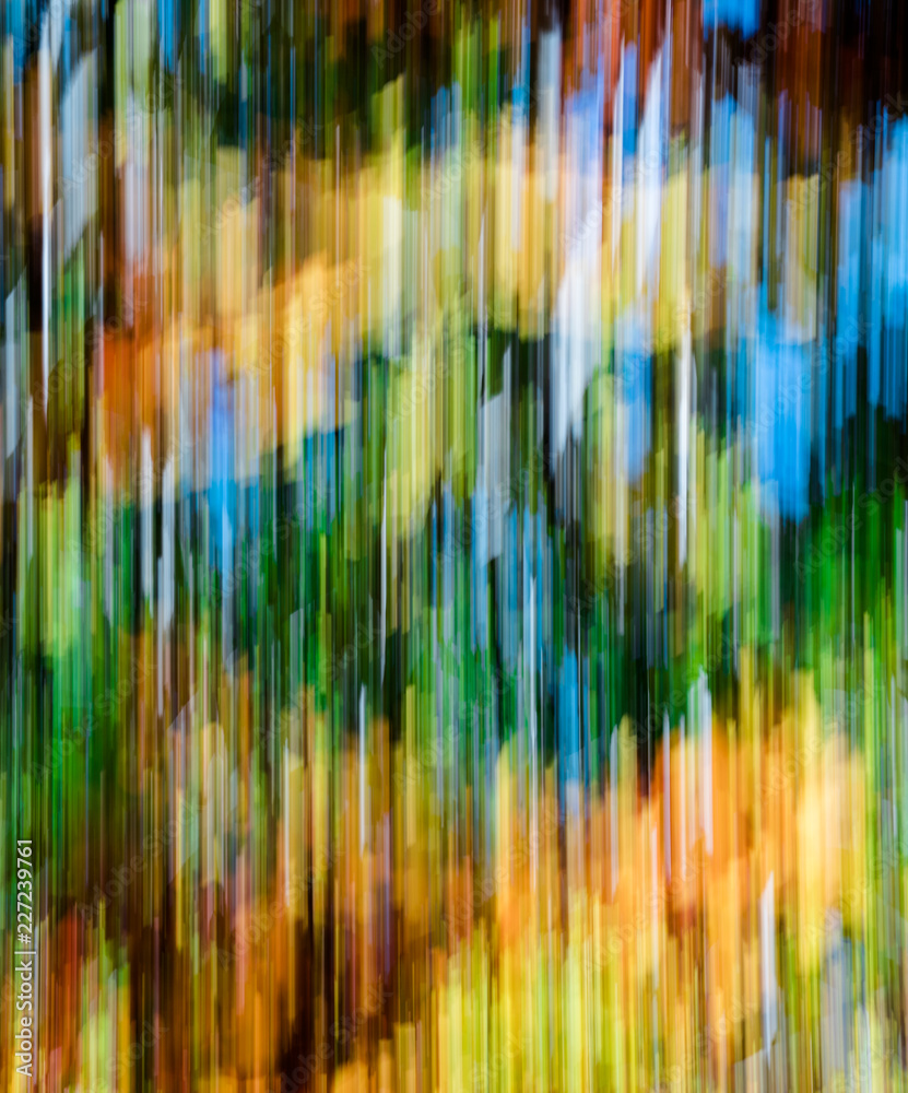 forest in autumn colors with fall foliage landscape background panning technique
