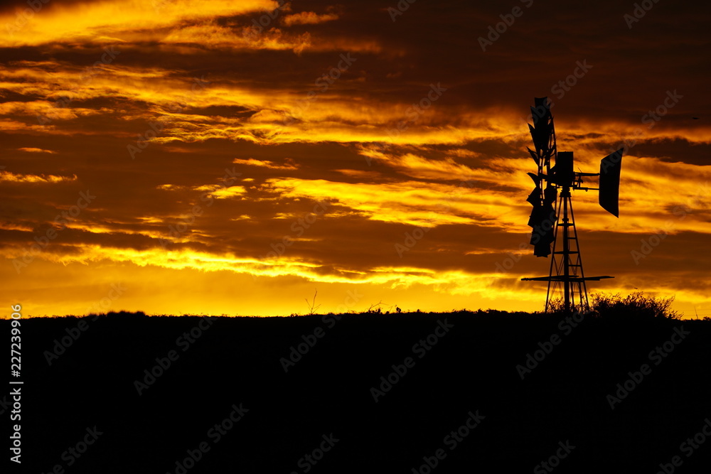 Fototapeta premium Sonnenuntergang in Afrika