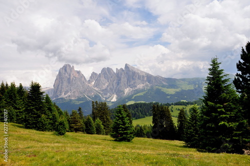 Blick über die Seiseralm