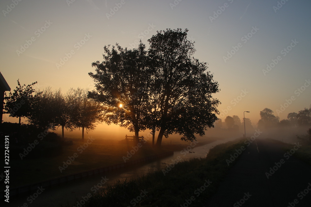 Fog over the meadows colored by the sun and shadows by trees during sunrise in Nieuwerkerk aan den IJssel in the Netherlands.