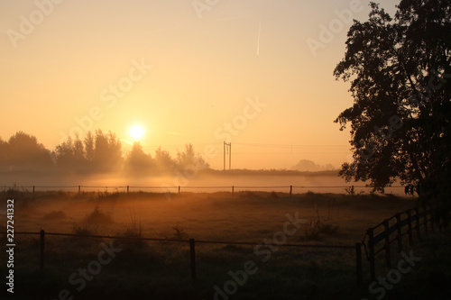 Fog over the meadows colored by the sun and shadows by trees during sunrise in Nieuwerkerk aan den IJssel in the Netherlands.