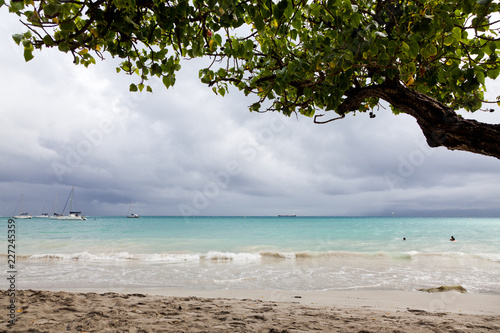 carribean beach in La Datcha, Grande-Terre, Guadeloupe © Melinda Nagy
