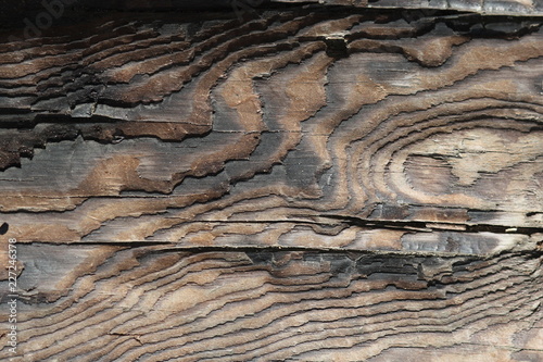 Bild auf Leinwand texture of wood