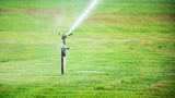 sprinklers on grass field. irrigation system in agriculture