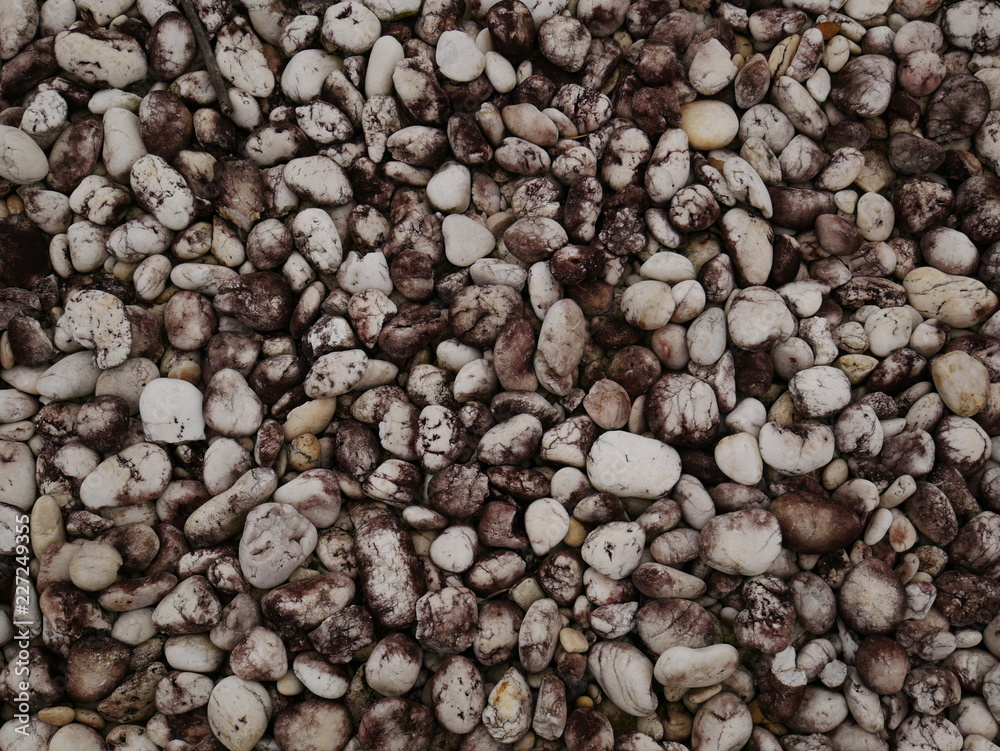 rock stone garden,pebbles on the beach rock stone garden,pebbles on the beach