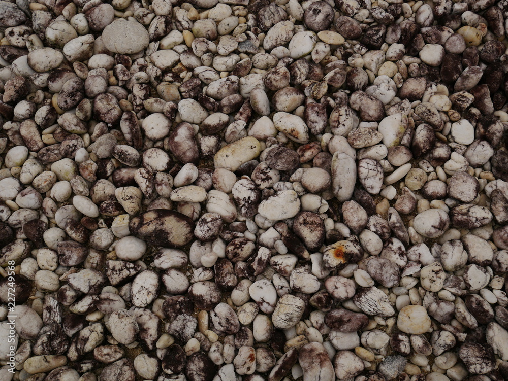 garden of stone,sand stone floor background,rock