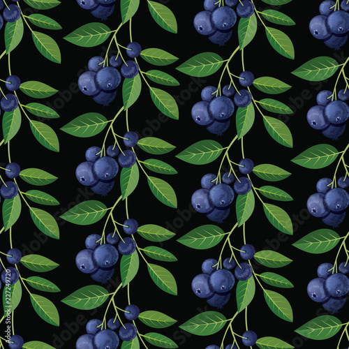Seamless pattern with blueberries and sprigs. Vector