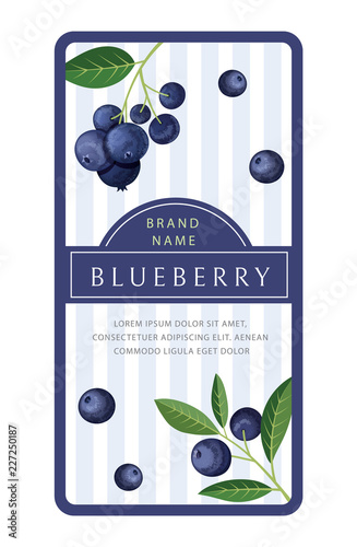 Label with blueberries and leaves. Vector illustration