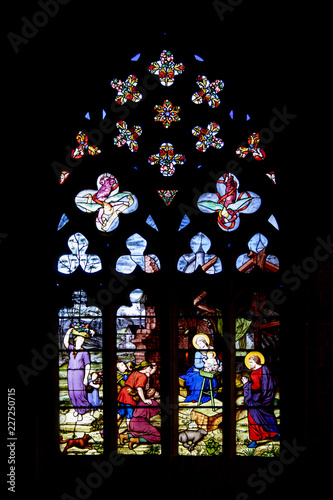Quimper. Vitrail de la cathédrale saint Corentin. Finistère. Bretagne 